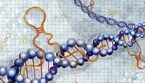 长沙雨花区艾碧维生物科技有限公司官网正式上线