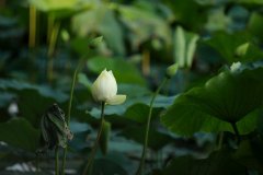 芙蓉区网站专业建设一定要注意的问题